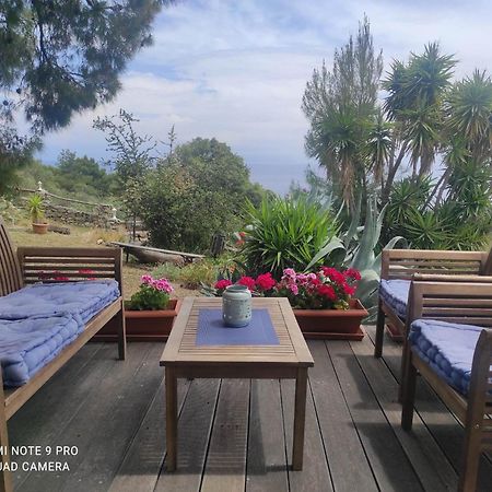 villa athos Sarti Esterno foto