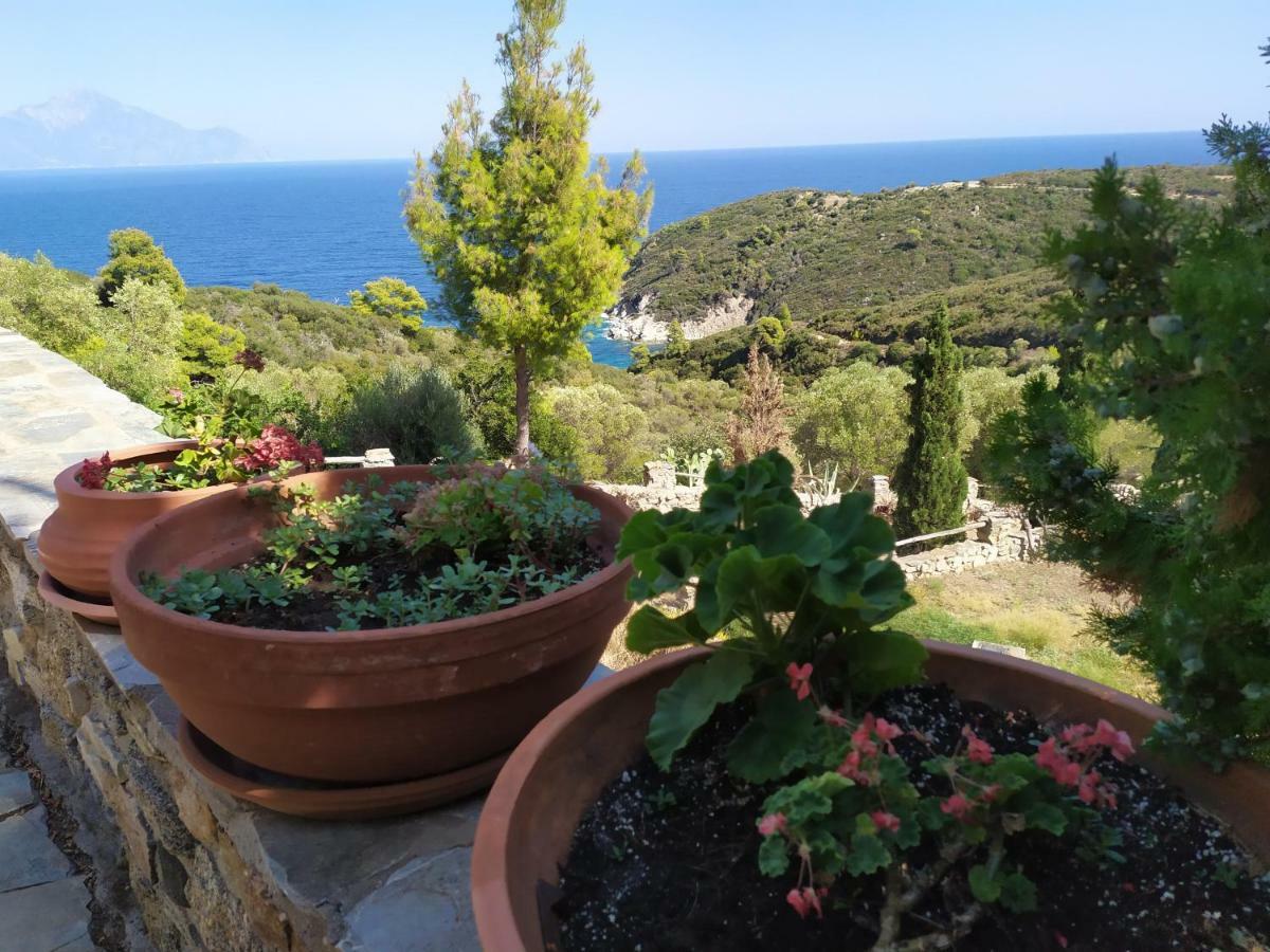villa athos Sarti Esterno foto