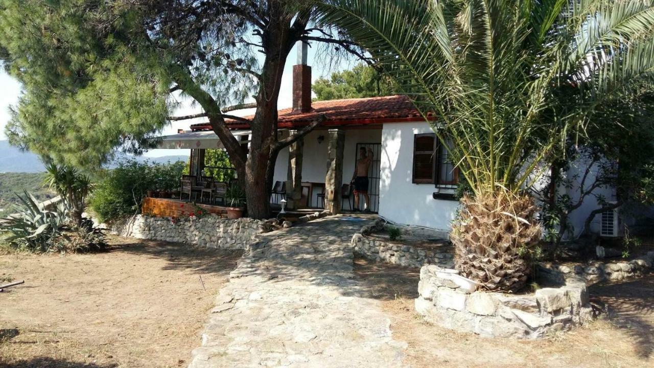 villa athos Sarti Esterno foto